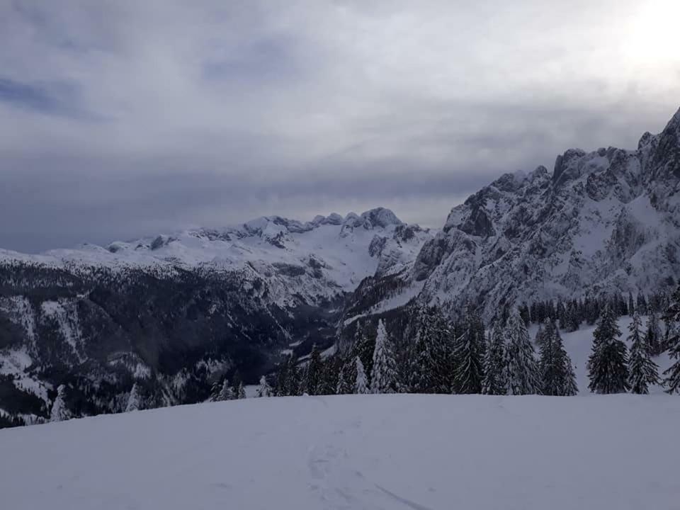 Dachstein View Ski Apartment Gosau Eksteriør billede