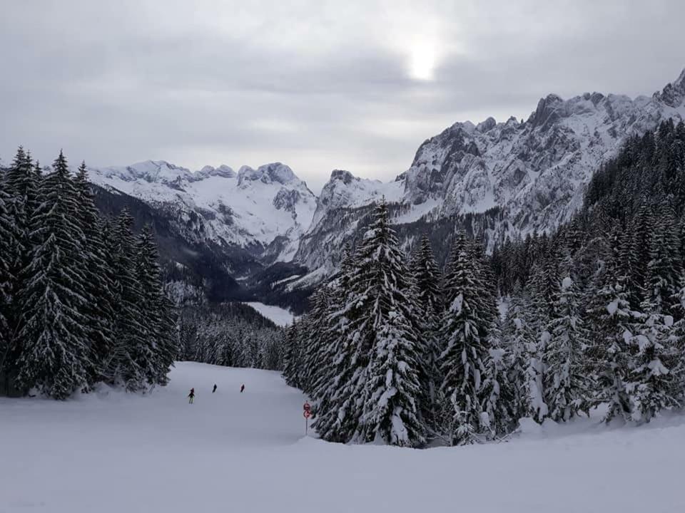 Dachstein View Ski Apartment Gosau Eksteriør billede