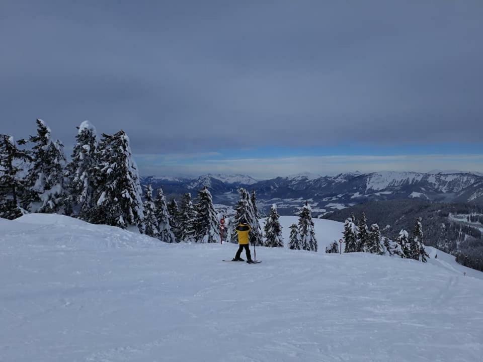 Dachstein View Ski Apartment Gosau Eksteriør billede