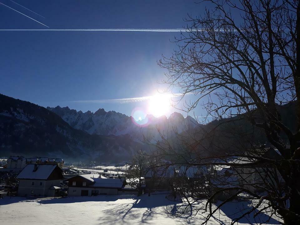 Dachstein View Ski Apartment Gosau Eksteriør billede